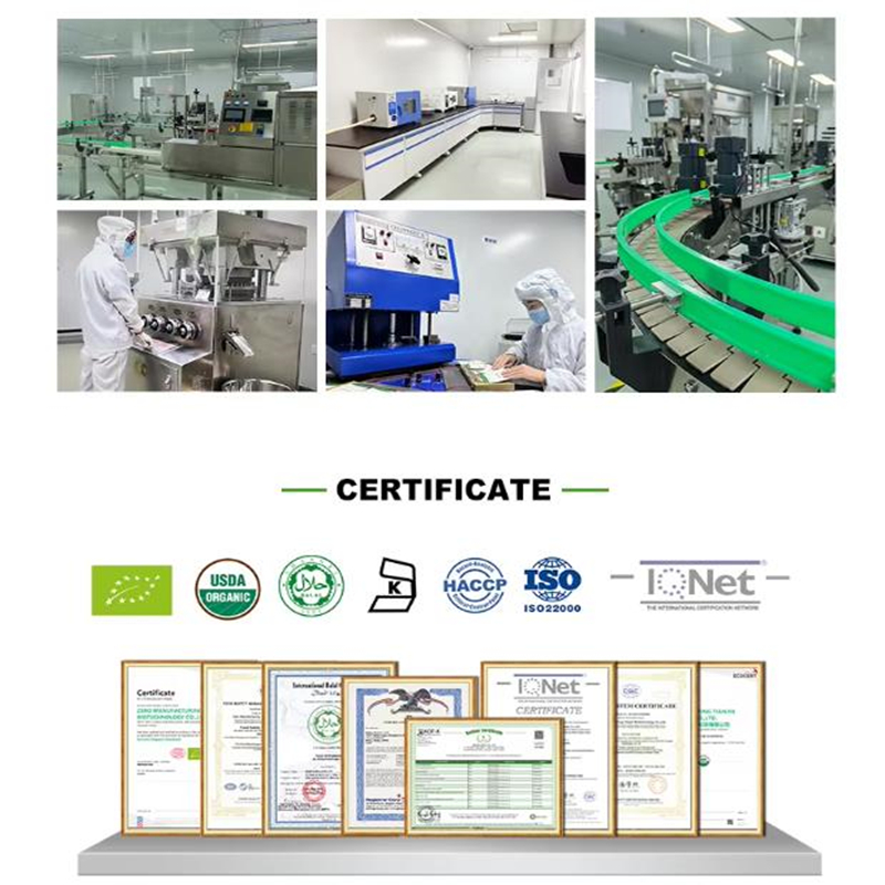 No 08,Customized HUANG QI Astr - Garcinia Cambogia Extract recensione e prezzo