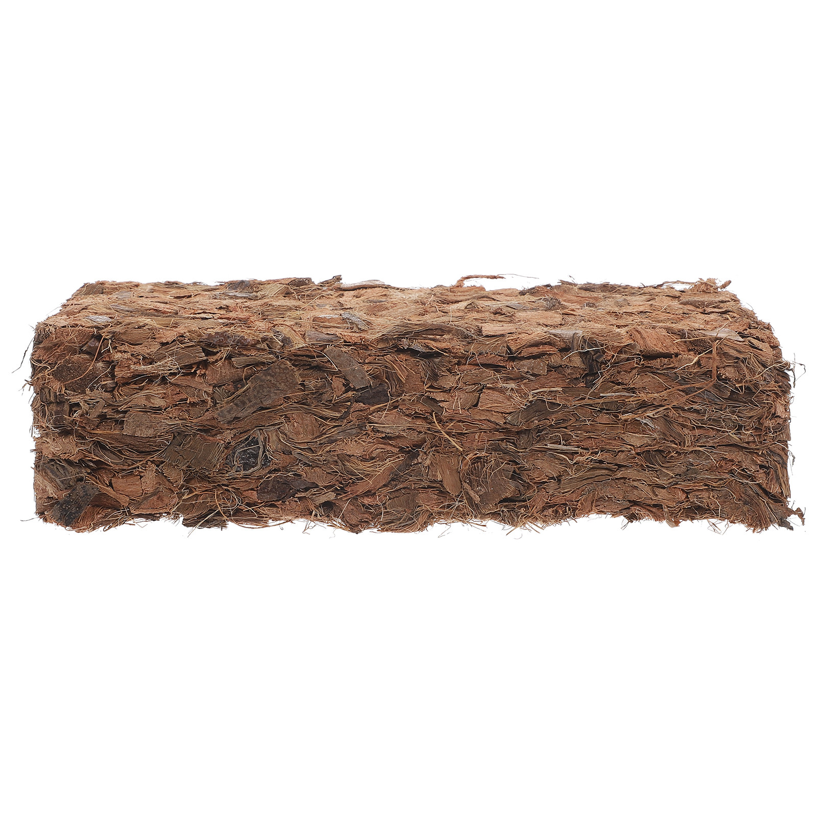 Plant Nursery Block Coconut Co - Nutrition & Fitness Hub recensione e prezzo