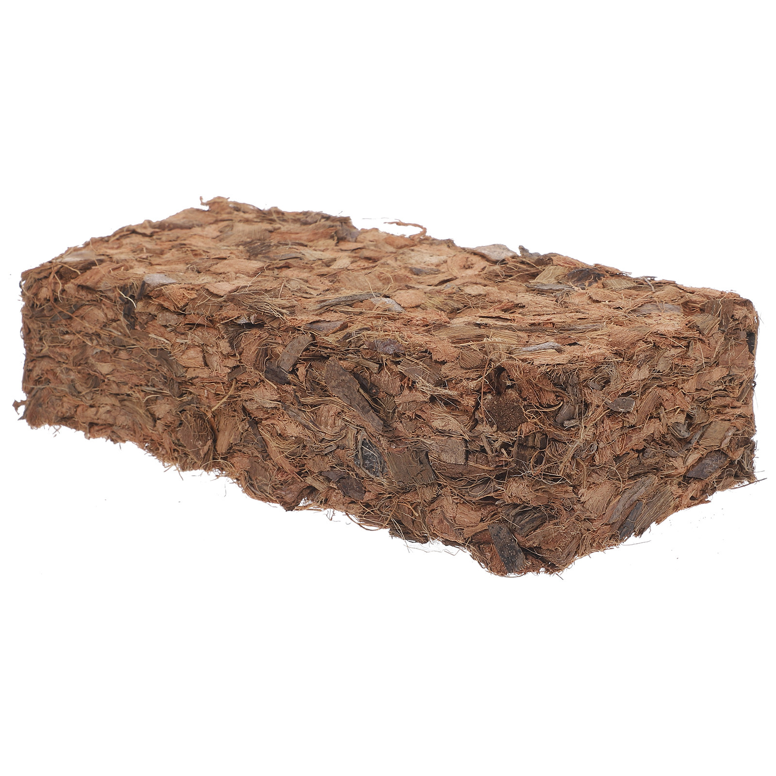 Plant Nursery Block Coconut Co - Nutrition & Fitness Hub recensione e prezzo