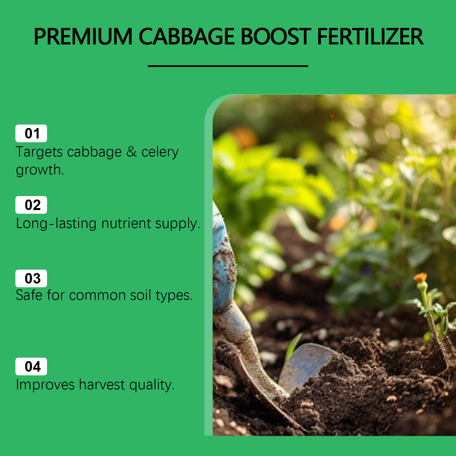 Indoor Outdoor Vegetable Growt - Nutrition & Fitness Hub recensione e prezzo