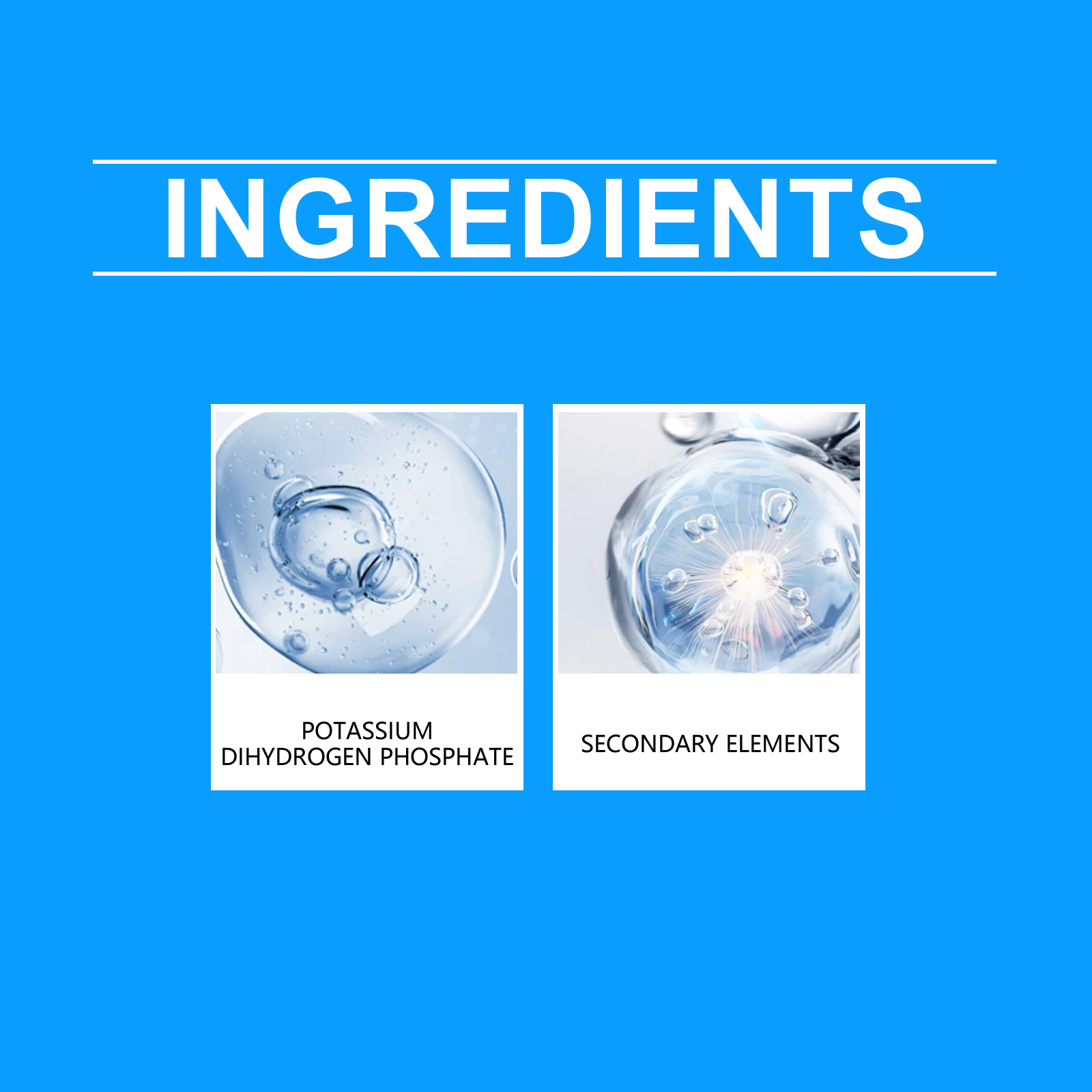 Flower Nutrient Solution Liqui - Nutrition & Fitness Hub recensione e prezzo