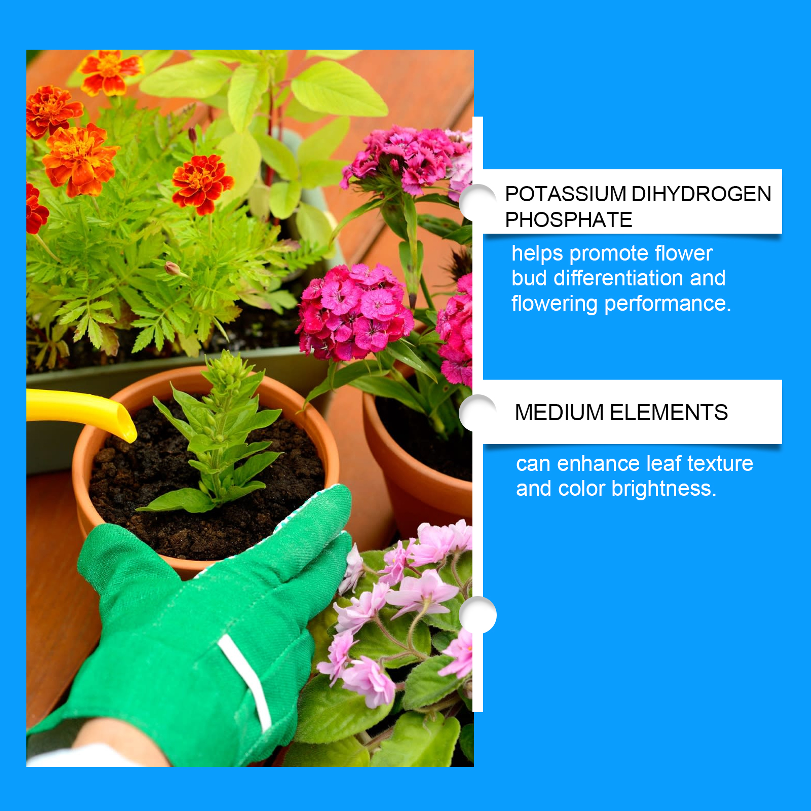 Flower Nutrient Solution Liqui - Nutrition & Fitness Hub recensione e prezzo